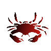 Krebs