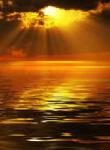 Gina-Sonne - Beraterbild 