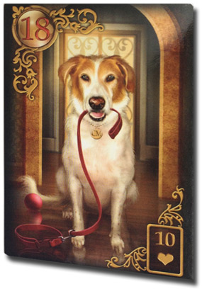 Der Hund