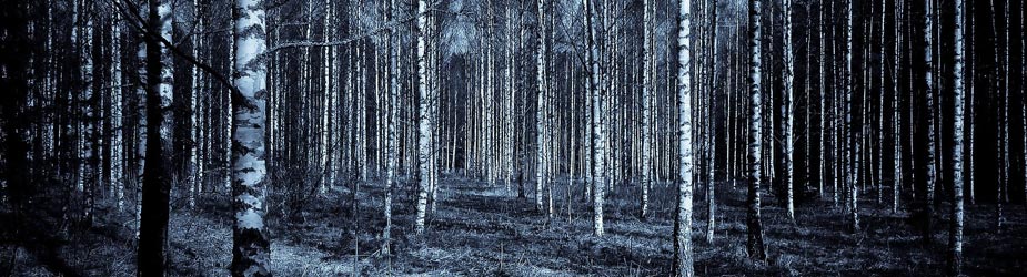 Parapsychologie