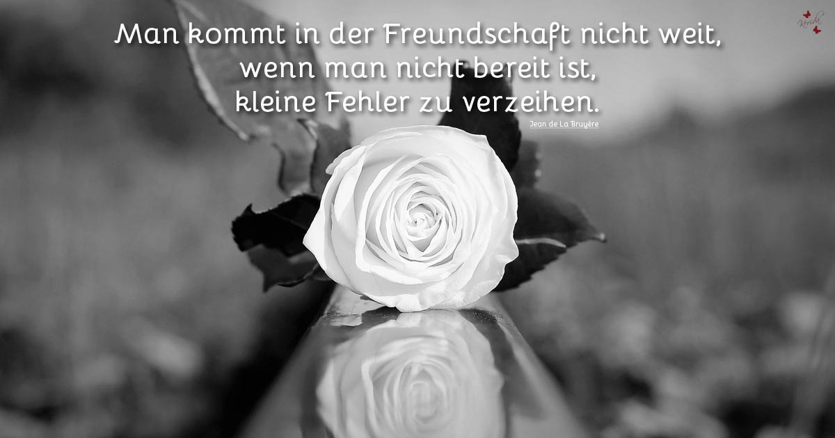 Freundschaft ...