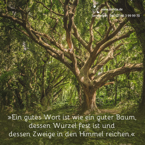 Stark wie ein Baum ...