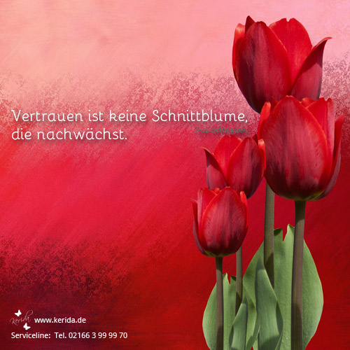 Blume und Vertrauen