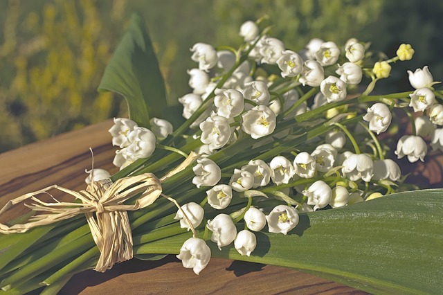 Spirituelle Perspektiven für den 1. Mai: Ein Tag der Erneuerung und Verbundenheit